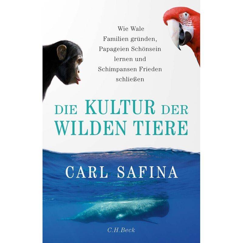 Die Kultur Der Wilden Tiere - Carl Safina, Gebunden von Beck