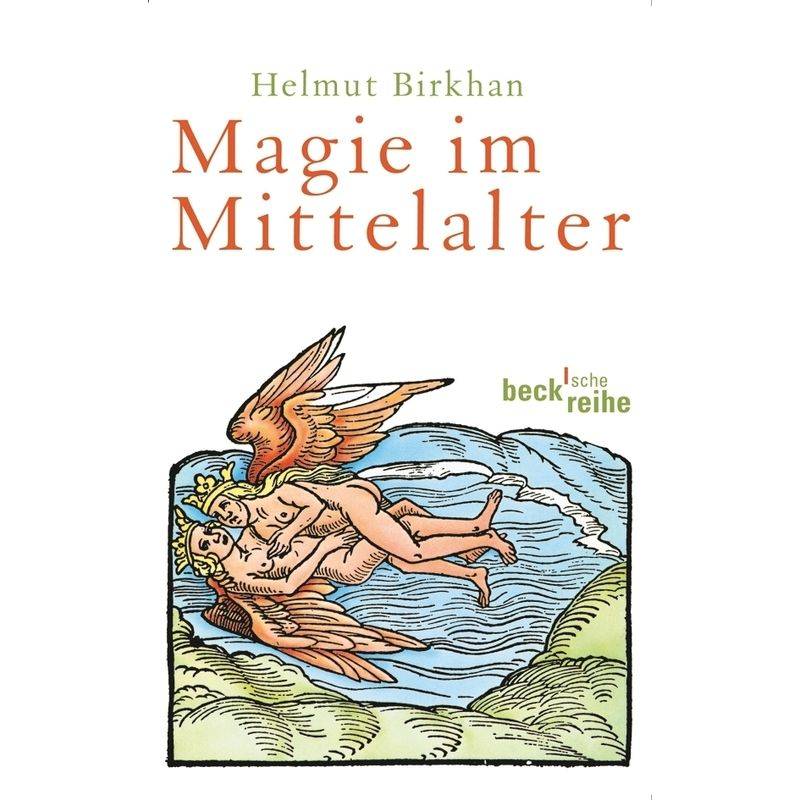 Magie Im Mittelalter - Helmut Birkhan, Taschenbuch von Beck