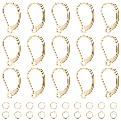 Beebeecraft 1 Box 20 Stück Brisur Ohrringe 24 Karat Vergoldete Messing Ohrringhaken 16.5x10 mm Ohrdraht Clip Ohrringverbinder Mit 20 offenen Biegeringen Für Die DIY Schmuckherstellung von Beebeecraft