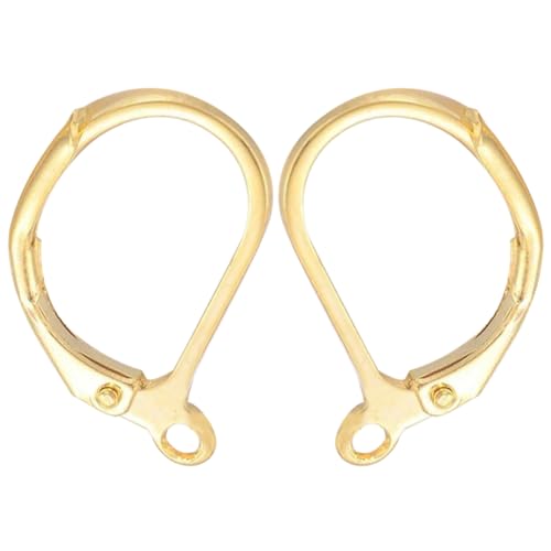 Beebeecraft 1 Box 4 Stück Leverback Ohrringe 14 Karat Vergoldete Messing Ohrhaken Huggie Ohrhaken Mit Hebelverschluss Französische Ohrhaken Baumelnde Ohrhaken Zur Schmuckherstellung Ohrringzubehör Beebeecraft 1 Box 4 Stück Leverback Ohrringe 14 Karat Vergoldete Messing Ohrhaken Huggie Ohrhaken Mit Hebelverschluss Französische Ohrhaken Baumelnde Ohrhaken Zur Schmuckherstellung Ohrringzubehör von Beebeecraft