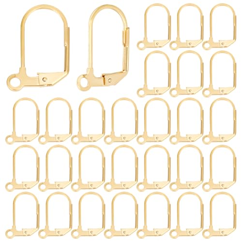 Beebeecraft 1 Box 40 Stück Brisur Ohrringe Aus Edelstahl Französische Ohrringe Haken Brisur Für DIY Schmuckherstellung 18x12x1.5 mm von Beebeecraft