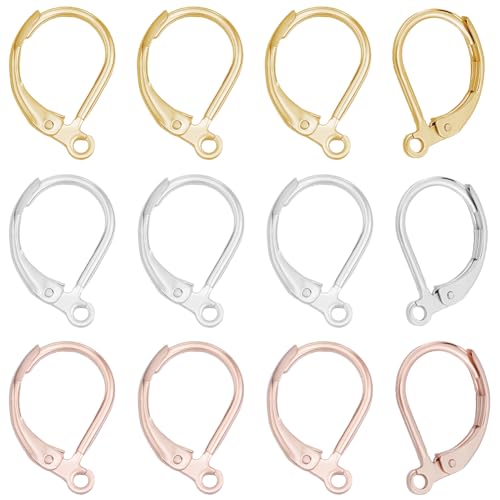 Beebeecraft 1 Box 60 Stück 3 Farbige Ohrring Beschläge Aus Edelstahl Mit Klappverschluss 24 Karat Gold & Roségold & Sterlingsilber Plattiert Französische Ohrringhaken Austauschbare Ohrhaken Zur von Beebeecraft