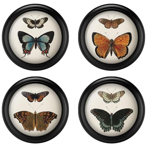 Beeveer 4 Stück 17,8 cm Retro Schmetterling Thema rund Holz gerahmt Schmetterling Bild gerahmt Wanddekoration schwarzer Kreis Bilderrahmen für modische Fotogalerie Kunst Tischplatte und Wand Display Beeveer 4 Stück 17,8 cm Retro Schmetterling Thema rund Holz gerahmt Schmetterling Bild gerahmt Wanddekoration schwarzer Kreis Bilderrahmen für modische Fotogalerie Kunst Tischplatte und Wand Display von Beeveer