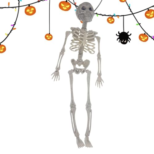 Befeixue Bewegliche Skelettfigur, Bewegliche Gelenke Schädel Ganzkörper menschlicher Knochen Modell Spielzeug, Realistisches Schädel-Ganzkörper-Knochen-Spielzeug Geschenke Indoor Outdoor Party Decor von Befeixue