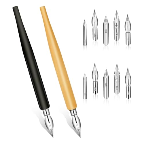 Begchy Comic Nib Set, geneigte Kalligrafiefedern für Dip-Stift, aus Flüssigholz, Schreibstifthalter zum Schreiben, Zeichnen von Begchy
