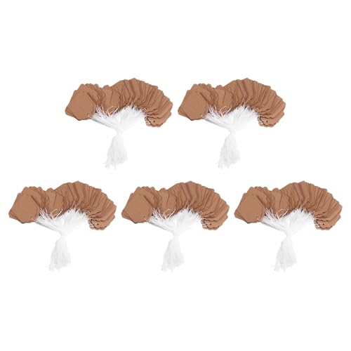 Begchy Preisschilder mit Kette, niedliche Geschenke, 500 Stück, fliegende Etiketten aus Kraftpapier, zum Etikettieren, Namensetiketten von Begchy