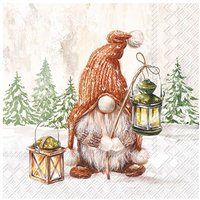 Serviette "Wichtel Fiete" von Ihr