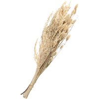 Trockenblumen Set "Phalaris" von Othmar Decorations