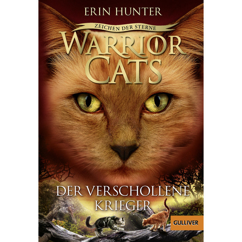 Der Verschollene Krieger / Warrior Cats Staffel 4 Bd.5 - Erin Hunter, Taschenbuch von Beltz