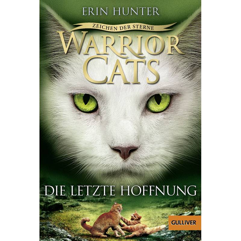 Die Letzte Hoffnung / Warrior Cats Staffel 4 Bd.6 - Erin Hunter, Taschenbuch von Beltz
