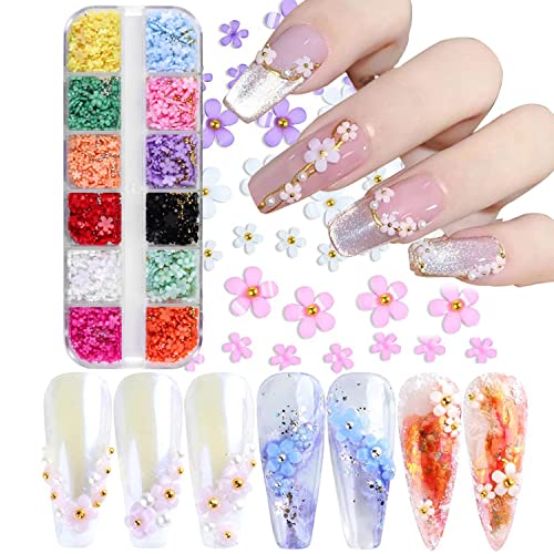 12 Grids 3D Blume Nail Art Charms Acryl Flower Nagel Charms Blumenornamente Nägel Strass Nail Strass Zubehör mit Gold und Silberperlen Nägel Fünfblättrige Strass für DIY Art Nageldesign von Belugsin