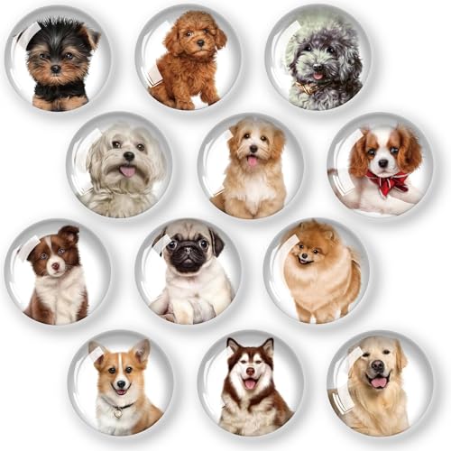 12 Stück Kühlschrank Magnete Kühlschrankmagnete Dekorative für Kühlschrank Magnete Kinder Glascabochons Glasmagnete für Whiteboards Kühlschränke Fotos (Runde/30 mm)-Klein Hunde von Belugsin