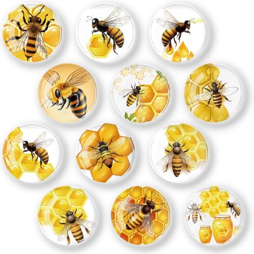 12 Stück Kühlschrankmagnete Glascabochons Glasmagnete Magnete Kinder Kühlschrankmagnete Dekorative zum Kühlschrank für Whiteboards Kühlschränke Fotos (Runde/30 mm)-Klein Biene von Belugsin