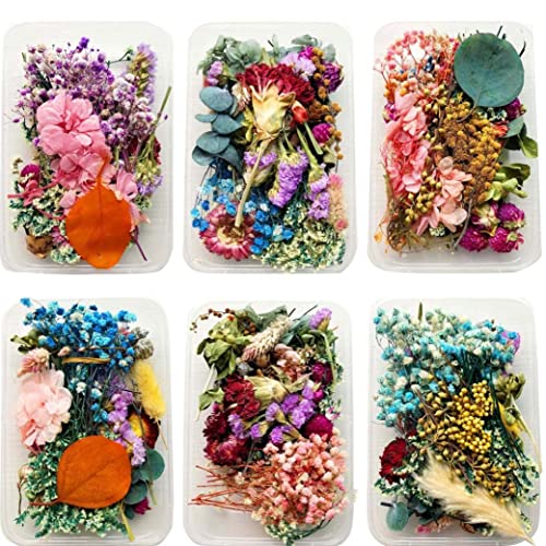 1 Box Natürliche Getrocknete Trockenpflanzen Für DIY Epoxidharz Charme Anhänger Aromatherapie Kerze Schmuck Machen Handwerk Zubehör 1 Box Natürliche Getrocknete Trockenpflanzen Für DIY Epoxidharz Charme Anhänger Aromatherapie Kerze Schmuck Machen Handwerk Zubehör von Bemvp