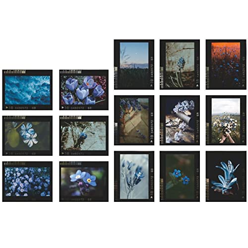 Bemvp Vintage Film Flower 30pcs Simulation Film Aufkleber Scrapbooking Sticker Set Für Planer Album DIY Craft Journal Dekoration Bemvp Vintage Film Flower 30pcs Simulation Film Aufkleber Scrapbooking Sticker Set Für Planer Album DIY Craft Journal Dekoration von Bemvp