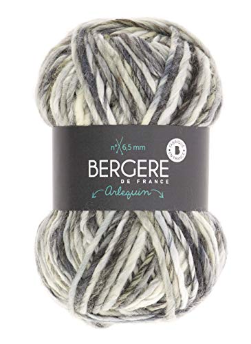 BERGÈRE DE FRANCE - Wollknäuel ARLEQUIN - Mehrfarbiges Garn - Fantastische Strickwolle 50% Wolle - Großes warmes Garn, 6,5 mm - Bunt (GRIS) von Bergere de France