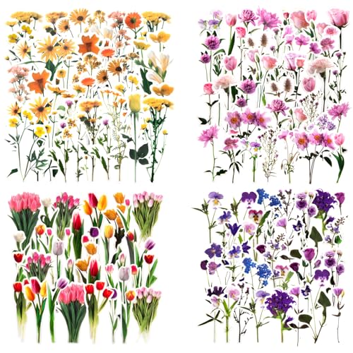 Pflanzen Blumen Sticker Set, Scrapbooking Sticker Vintage Bunt Transparente Dekorative Aufkleber Für DIY Fotoalben Tagebuch Notizbuch Kalender Briefumschläge Glückwunschkarten 160 Stück Pflanzen Blumen Sticker Set, Scrapbooking Sticker Vintage Bunt Transparente Dekorative Aufkleber Für DIY Fotoalben Tagebuch Notizbuch Kalender Briefumschläge Glückwunschkarten 160 Stück von Berkelen