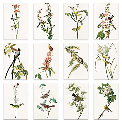 Alle Gelegenheiten Süße Blume Floral Arte Grußkarten Blanko 12er-Pack mit Umschläge 10 x 15 cm Klappkarten, Handgemachte Muttertag Ruhestand Glückwunsch Hochzeitseinladung für Kollegin Mutter Alle Gelegenheiten Süße Blume Floral Arte Grußkarten Blanko 12er-Pack mit Umschläge 10 x 15 cm Klappkarten, Handgemachte Muttertag Ruhestand Glückwunsch Hochzeitseinladung für Kollegin Mutter von Berkin Arts