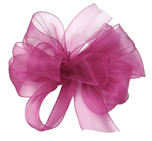 Berwick Offray LLC 429419 einfaches, transparentes Asiana-Band, 3,8 cm B x 91,4 m, Fuchsia Berwick Offray LLC 429419 einfaches, transparentes Asiana-Band, 3,8 cm B x 91,4 m, Fuchsia von Berwick
