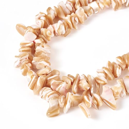 Bestewelry Natürliche Trochus-Muschelperlen, unregelmäßige Muschelperlen, Meeresmuscheln, lose Abstandshalter, Perlen für selbstgemachte Armbänder, Halsketten, Ohrringe, Basteln, Sommer, Strand, von Bestewelry