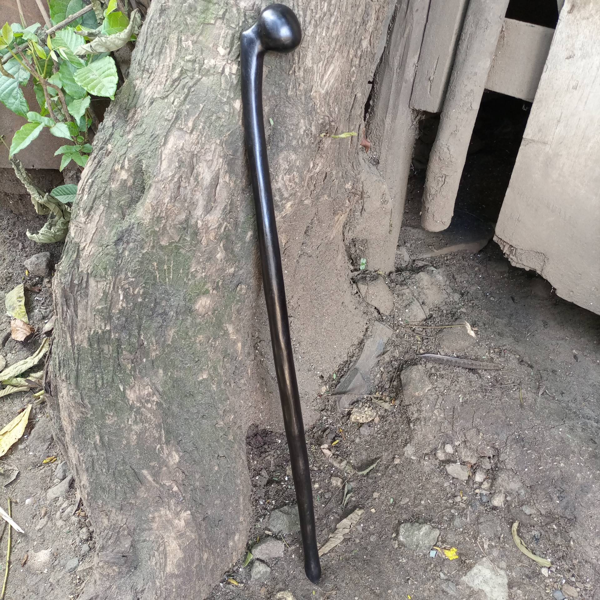 Beidhändig Offset 1, 5 Zoll Griff Original Ironwood African Walking Wanderstock Cane Kenia 1Pc Natürliche Mahagoni Palisander Unisex Pick Größe Beidhändig Offset 1, 5 Zoll Griff Original Ironwood African Walking Wanderstock Cane Kenia 1Pc Natürliche Mahagoni Palisander Unisex Pick Größe von Bestgemdiamond