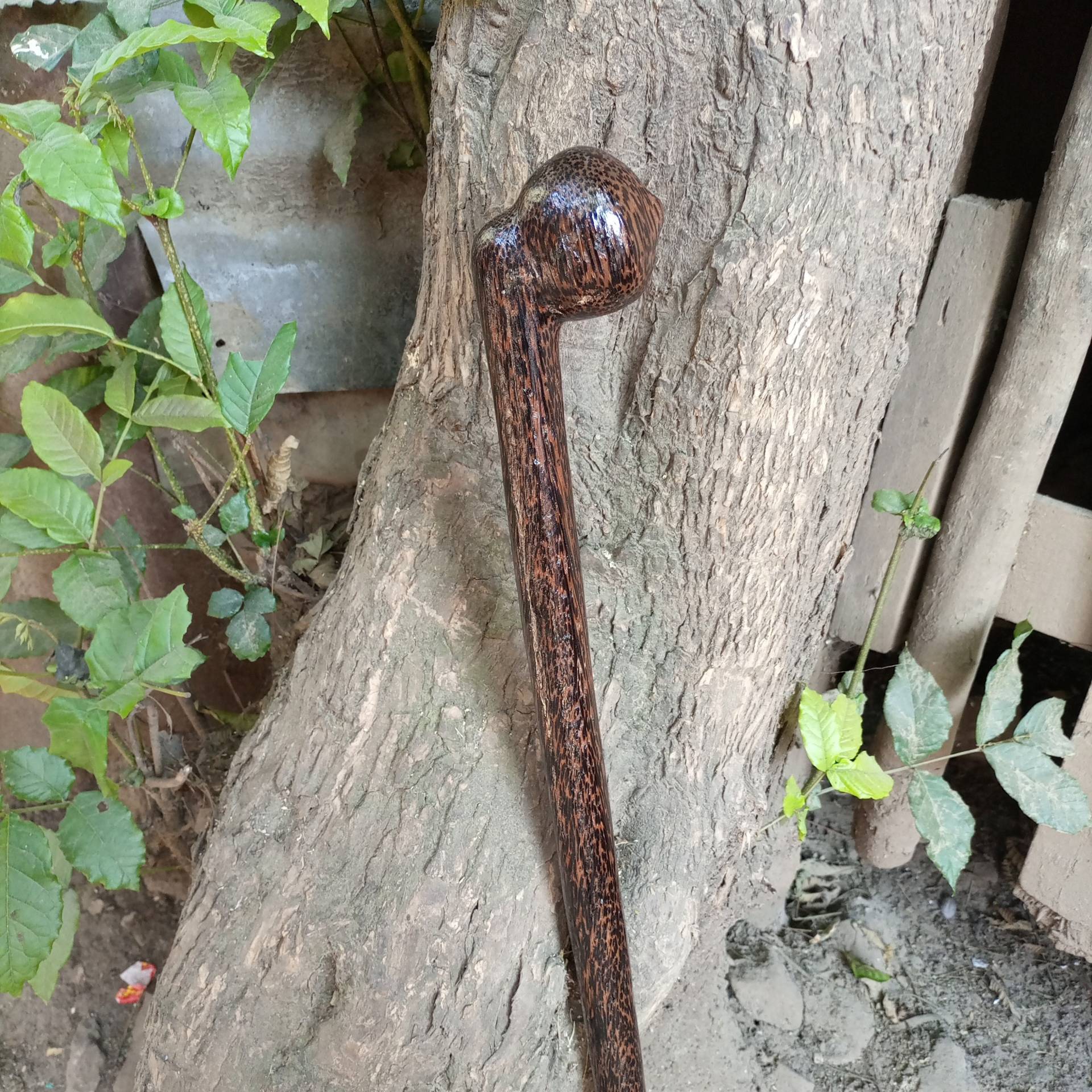 Beidhändig Offset 1, 5 Zoll Griff Original Palmwood African Walking Wanderstock Cane Kenia 1Pc Natürliche Mahagoni Hartholz Unisex Pick Größe Beidhändig Offset 1, 5 Zoll Griff Original Palmwood African Walking Wanderstock Cane Kenia 1Pc Natürliche Mahagoni Hartholz Unisex Pick Größe von Bestgemdiamond