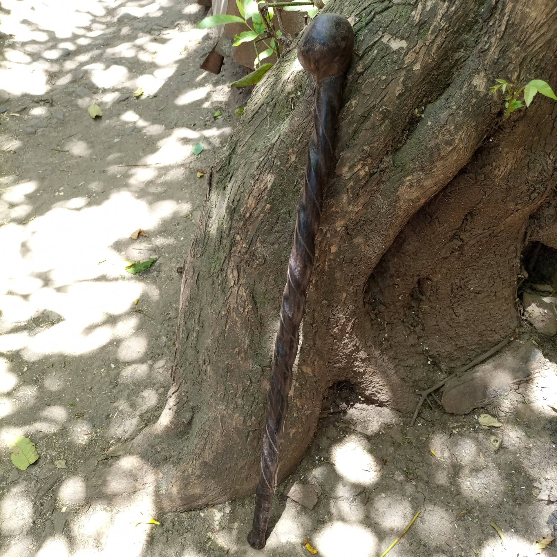 Semi Offset 2, 25 in Top Twisted Shaft Original Blackwood Walking Wandern Stick Cane Kenia Afrika 1Pc Natürliches Hartholz Unisex Plektrum Größe & von Bestgemdiamond