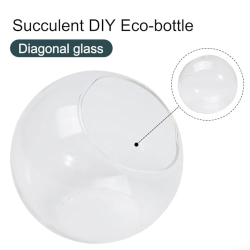 Glas-Terrarienvase für Sukkulenten und Landschaftsblumentöpfe mit offenem Mund, aus klarem Borosilikatglas für den Heim- und Ladengebrauch (A) von Besttoolifes