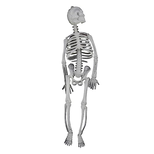 Bexdug Halloween-Skelett leuchtet im Dunkeln | Halloween-Skelettfigur, die im Dunkeln leuchtet, Dekorationen | Supplies Favor Geschenke Indoor Outdoor Dekoration für Halloween Bexdug Halloween-Skelett leuchtet im Dunkeln | Halloween-Skelettfigur, die im Dunkeln leuchtet, Dekorationen | Supplies Favor Geschenke Indoor Outdoor Dekoration für Halloween von Bexdug