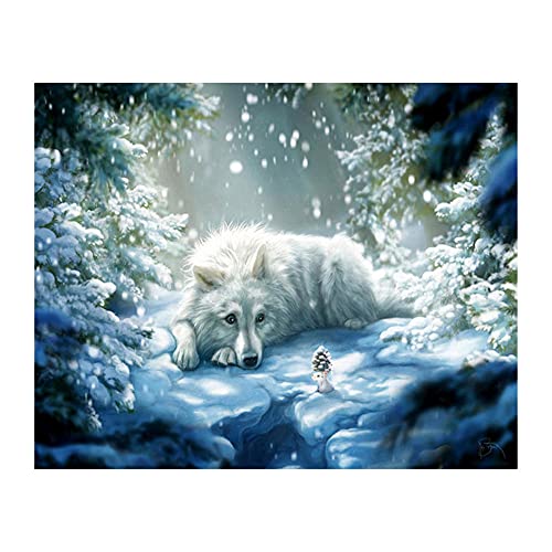 DIY 5D Diamant Gemälde Set, Weißer Wolf Schlaf Schnee 50x70cm DIY Diamant Painting Bilder Vollbohrer Diamond Art Strass Stickerei Kreuzstich Home Wand Leinwand bild Arts Craft DIY 5D Diamant Gemälde Set, Weißer Wolf Schlaf Schnee 50x70cm DIY Diamant Painting Bilder Vollbohrer Diamond Art Strass Stickerei Kreuzstich Home Wand Leinwand bild Arts Craft von Bfchn