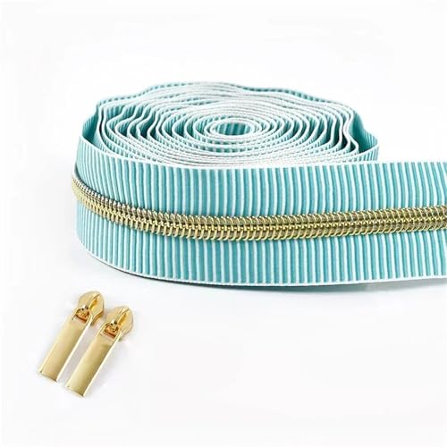 BgnEhRfL Reißverschluss, Reißverschlüsse, 5# gestreiftes Nylon-Reißverschlussband for Nähen von Taschen, Endlosrolle, Spiralreißverschluss, DIY-Kleidungszubehör for Nähen, Basteln(GreenLightGold) BgnEhRfL Reißverschluss, Reißverschlüsse, 5# gestreiftes Nylon-Reißverschlussband for Nähen von Taschen, Endlosrolle, Spiralreißverschluss, DIY-Kleidungszubehör for Nähen, Basteln(GreenLightGold) von BgnEhRfL