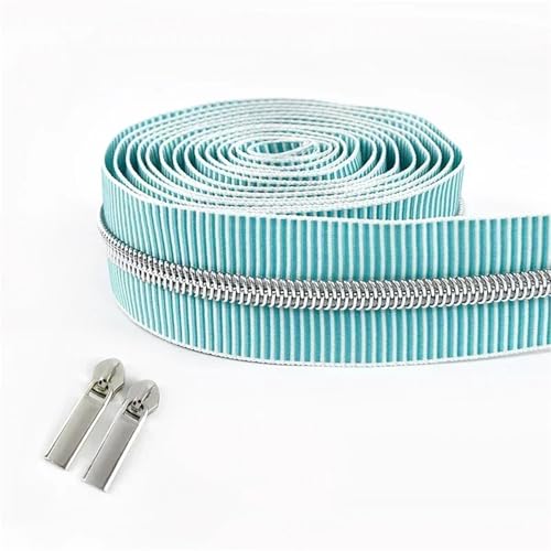 BgnEhRfL Reißverschluss, Reißverschlüsse, 5# gestreiftes Nylon-Reißverschlussband for Nähen von Taschen, Endlosrolle, Spiralreißverschluss, DIY-Kleidungszubehör for Nähen, Basteln(GreenSilver) von BgnEhRfL