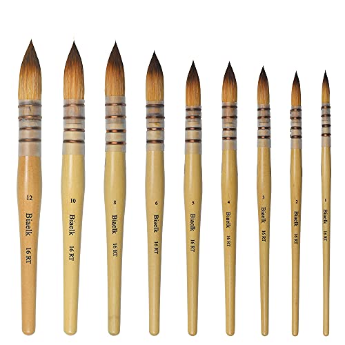 Biaelk 16RT Aquarellpinsel, 9-teilig, Mopp-Acryl-Pinsel, große runde Spitze, Holzgriff, Größe 12345681012, für Aquarell, Waschen, Gouache, Gesichtsbemalung Biaelk 16RT Aquarellpinsel, 9-teilig, Mopp-Acryl-Pinsel, große runde Spitze, Holzgriff, Größe 12345681012, für Aquarell, Waschen, Gouache, Gesichtsbemalung von Biaelk