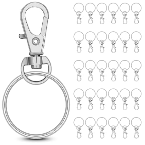 30 Sets Metall-Drehhaken mit Schlüsselringen, Mini-Karabinerverschlüsse mit Schlüsselanhänger für DIY-Handwerk, DIY-Schmuckherstellung, Schlüsselanhänger-Set, Silber von Bidponds