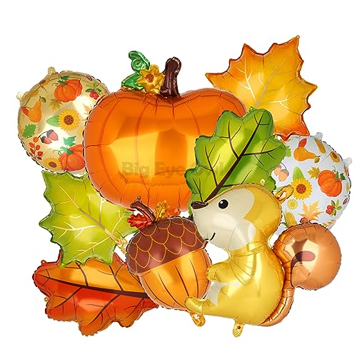 9 Stücke Thanksgiving Luftballons Kürbis Tannenzapfen Ahornblätter Eichhörnchen Folienballons Pumpkin Erntedank Herbst Gelb Party Deko von Big Eye Owl