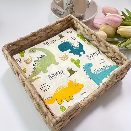 Bikasun 60 Stück Dino Servietten Kindergeburtstag, Dinosaurier-Serviette 33 x 33 cm, Dino Geburtstag Deko Papierservietten, Servietten Geburtstag, für Partys, Geburtstage, Kinderparty Tischdeko Bikasun 60 Stück Dino Servietten Kindergeburtstag, Dinosaurier-Serviette 33 x 33 cm, Dino Geburtstag Deko Papierservietten, Servietten Geburtstag, für Partys, Geburtstage, Kinderparty Tischdeko von Bikasun