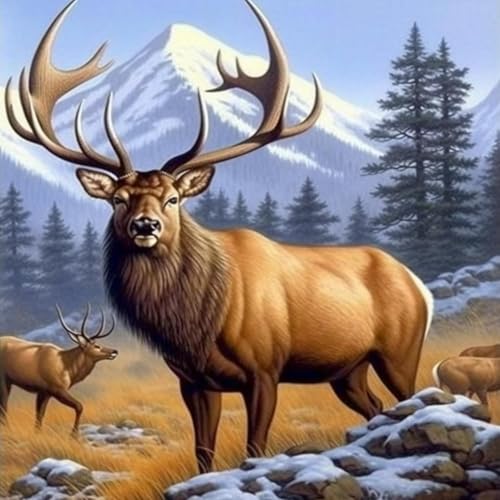 Bimkole 5D Diamond Painting Kits Zubehör Elk, Animals Diamant Malerei Kit Voll Runde Bohrer Malen nach Zahlen Malerei Stickerei Kreuzstich Diamond Dekoration 30x40cm Bimkole 5D Diamond Painting Kits Zubehör Elk, Animals Diamant Malerei Kit Voll Runde Bohrer Malen nach Zahlen Malerei Stickerei Kreuzstich Diamond Dekoration 30x40cm von Bimkole