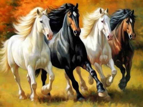 Bimkole 5D Diamond Painting Kits Zubehör Horse, Animals Diamant Malerei Kit Voll Runde Bohrer Malen nach Zahlen Malerei Stickerei Kreuzstich Diamond Dekoration 30x40 cm von Bimkole