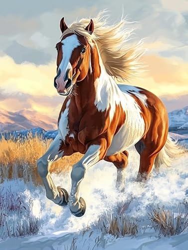 Bimkole 5D Diamond Painting Kits Zubehör Pferd, Tier Diamant Malerei Kit Voll Runde Bohrer Malen nach Zahlen Malerei Stickerei Kreuzstich Diamond Dekoration 30x40 cm von Bimkole