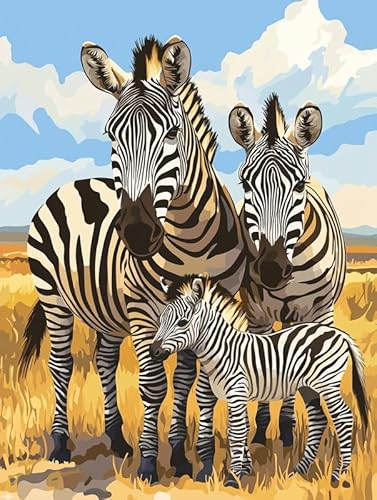 Bimkole 5D Diamond Painting Kits Zubehör Zebra, Tier Diamant Malerei Kit Voll Runde Bohrer Malen nach Zahlen Malerei Stickerei Kreuzstich Diamond Dekoration 30x40 cm Bimkole 5D Diamond Painting Kits Zubehör Zebra, Tier Diamant Malerei Kit Voll Runde Bohrer Malen nach Zahlen Malerei Stickerei Kreuzstich Diamond Dekoration 30x40 cm von Bimkole