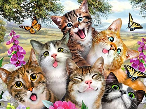 Bimkole 5D Diamond Painting Zubehör Katze Blume Bilder, DIY Tiere Diamant Malerei Kit Voll Runde Bohrer Malen nach Zahlen Malerei Stickerei Kreuzstich Diamond Dekoration (30x40 cm) von Bimkole