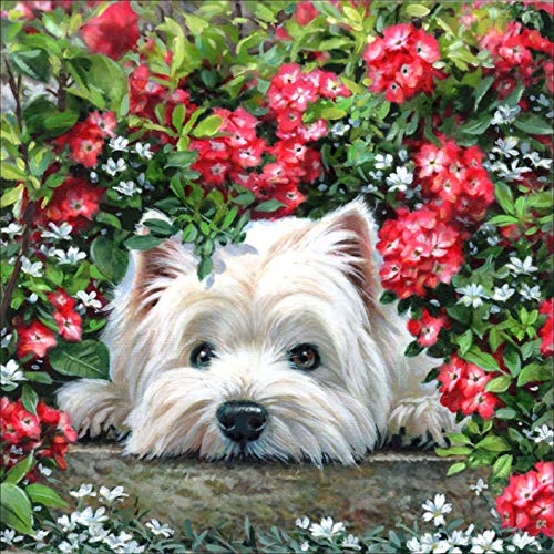 Bimkole 5D Diamond Painting Zubehör Katze Hund Blume Bilder, DIY Tiere Diamant Malerei Kit Tier Voll Runde Bohrer Malen nach Zahlen Malerei Stickerei Kreuzstich Diamond Dekoration (30x30 cm) von Bimkole