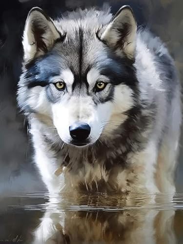 Bimkole DIY 5D Diamond Painting Kits Zubehör Weißer Wolf, Tier Diamant Malerei Kit Voll Runde Bohrer Malen nach Zahlen Malerei Stickerei Kreuzstich Diamond Dekoration 30X40cm von Bimkole