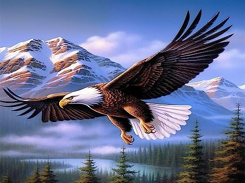 Bimkole DIY 5D Diamond Painting Zubehör Adler, Schnee Bäume Tiere Diamant Malerei Kit Voll Runde Bohrer Malen nach Zahlen Malerei Stickerei Kreuzstich Diamond Dekoration, (40x50 cm) von Bimkole