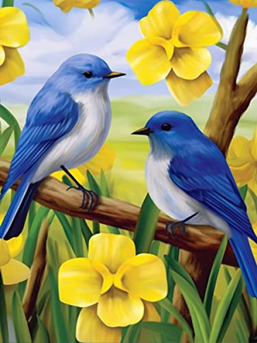 Bimkole DIY 5D Diamond Painting Zubehör Blauer Vogel, Blumen Diamant Malerei Kit Voll Runde Bohrer Malen nach Zahlen Malerei Stickerei Kreuzstich Diamond Dekoration 30X40 cm von Bimkole