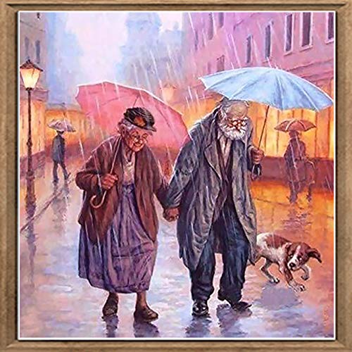 Bimkole DIY 5D Diamond Painting Zubehör Ehemann Und Ehefrau, Regen Liebe Hund Paar Diamant Malerei Kit Voll Runde Bohrer Malen nach Zahlen Malerei Stickerei Kreuzstich Diamond Dekoration, (30x30 cm) von Bimkole