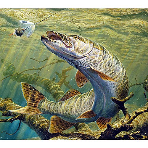 Bimkole DIY 5D Diamond Painting Zubehör Fisch,Meer Diamant Malerei Kit Voll Runde Bohrer Malen nach Zahlen Malerei Stickerei Kreuzstich Diamond Dekoration(30x40 cm) von Bimkole