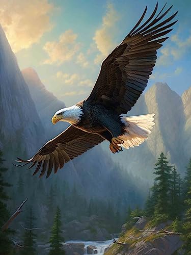 Bimkole DIY 5D Diamond Painting Zubehör Fliegender Adler, Tier Diamant Malerei Kit Voll Runde Bohrer Malen nach Zahlen Malerei Stickerei Kreuzstich Diamond Dekoration 30X40 cm Bimkole DIY 5D Diamond Painting Zubehör Fliegender Adler, Tier Diamant Malerei Kit Voll Runde Bohrer Malen nach Zahlen Malerei Stickerei Kreuzstich Diamond Dekoration 30X40 cm von Bimkole