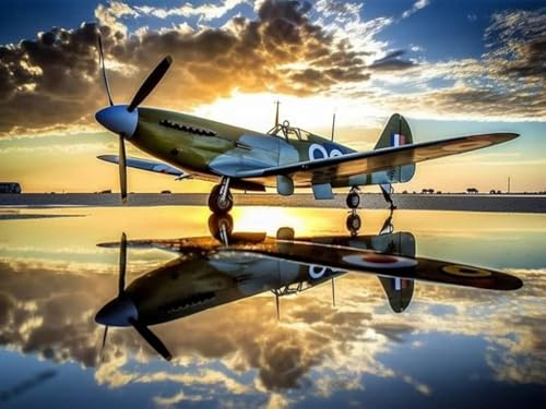 Bimkole DIY 5D Diamond Painting Zubehör Flugzeug, Sonnenuntergang Diamant Malerei Kit Voll Runde Bohrer Malen nach Zahlen Malerei Stickerei Kreuzstich Diamond Dekoration 30X40 cm Bimkole DIY 5D Diamond Painting Zubehör Flugzeug, Sonnenuntergang Diamant Malerei Kit Voll Runde Bohrer Malen nach Zahlen Malerei Stickerei Kreuzstich Diamond Dekoration 30X40 cm von Bimkole
