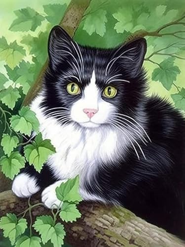 Bimkole DIY 5D Diamond Painting Zubehör Grünes Blatt Katze, Tier Diamant Malerei Kit Voll Runde Bohrer Malen nach Zahlen Malerei Stickerei Kreuzstich Diamond Dekoration 30X40 cm von Bimkole